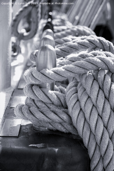 Ships Ropes Picture Board by Lynn Bolt