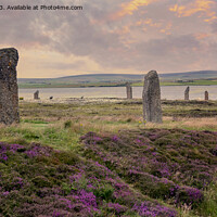 Buy canvas prints of Orkney Ring of Brodgar by Lynn Bolt