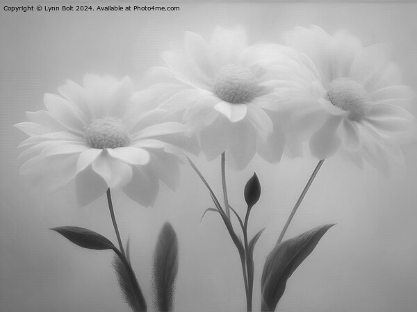 Three Flowers in Black and White Picture Board by Lynn Bolt