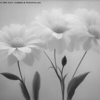 Buy canvas prints of Three Flowers in Black and White by Lynn Bolt
