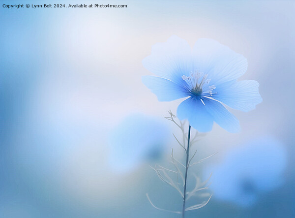 Blue Flower Picture Board by Lynn Bolt