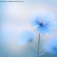 Buy canvas prints of Blue Flower by Lynn Bolt