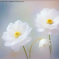 Buy canvas prints of Three White Flowers by Lynn Bolt