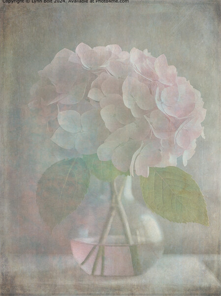 Pink Hydrangea Vase Overlay Picture Board by Lynn Bolt