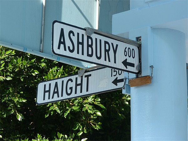 Haight and Ashbury Picture Board by Lynn Bolt