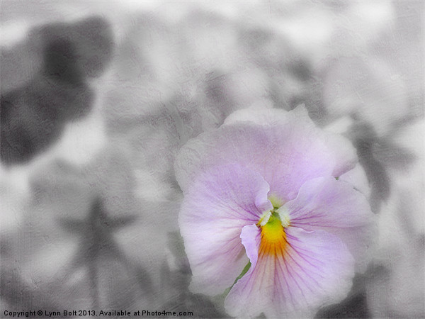 Pastel Pansy Picture Board by Lynn Bolt