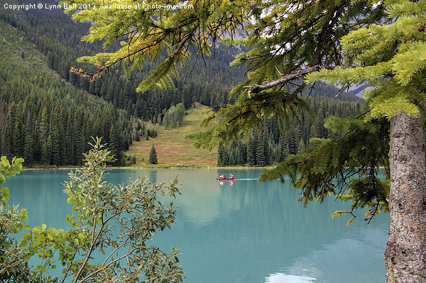 Emerald Lake British Columbia Picture Board by Lynn Bolt