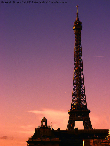 Eiffel Tower at Sunset Picture Board by Lynn Bolt