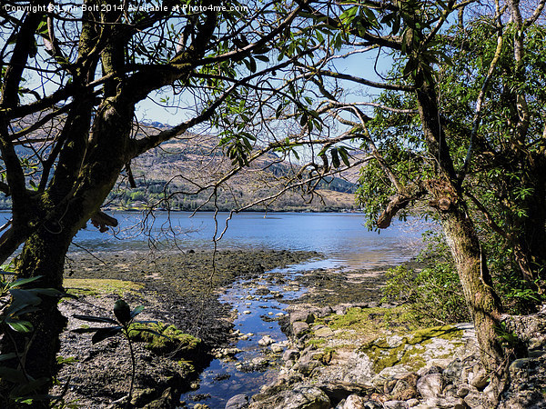Loch Goil Argyll  Picture Board by Lynn Bolt