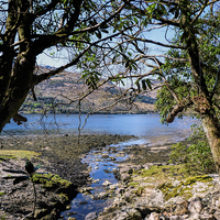 Buy canvas prints of Loch Goil Argyll  by Lynn Bolt