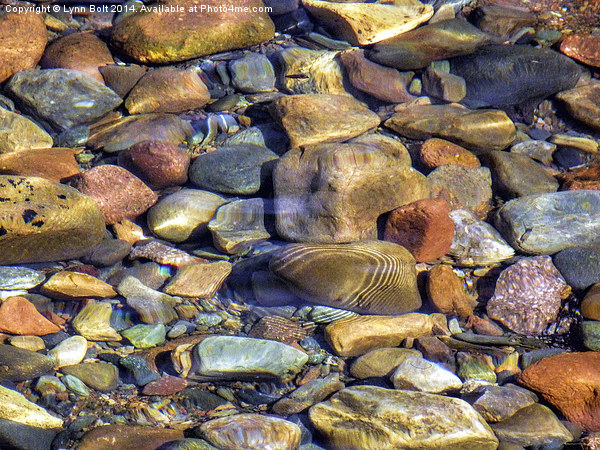  Ripples on the Pebbles Picture Board by Lynn Bolt