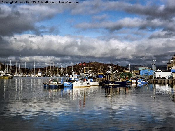  Tarbert Harbour Argyll and Bute Picture Board by Lynn Bolt