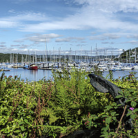 Buy canvas prints of Tarbert Harbour Argyll and Bute by Lynn Bolt