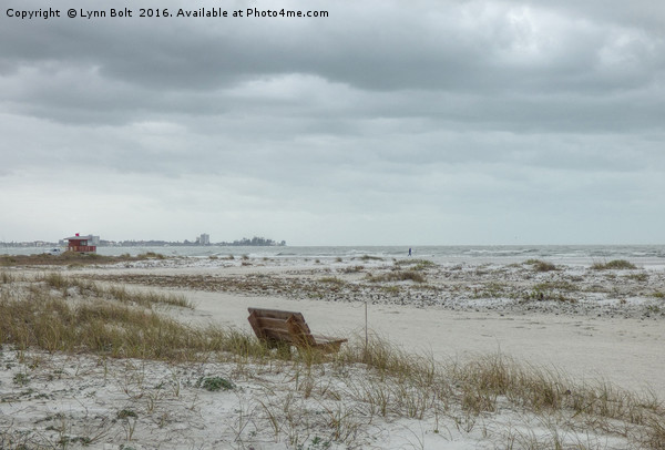 Windswept Lido Beach Florida Picture Board by Lynn Bolt