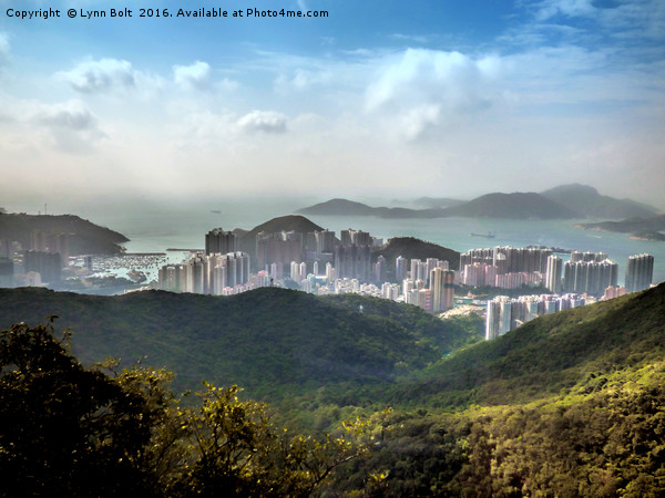 Hong Kong from Victoria Peak Picture Board by Lynn Bolt