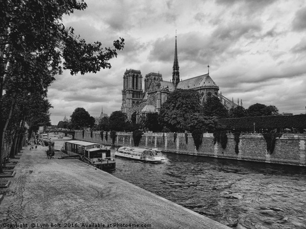 Notre Dame Paris Picture Board by Lynn Bolt