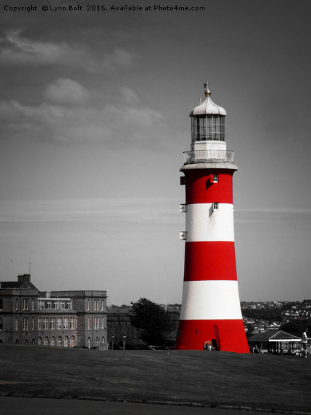 Smeaton's Tower Plymouth Picture Board by Lynn Bolt