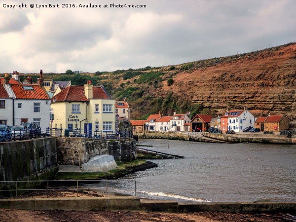 Cod and Lobster Staithes Picture Board by Lynn Bolt