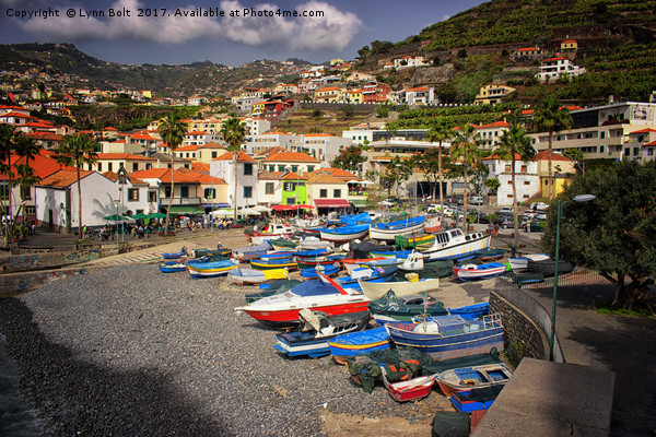 Colourful Fishing Boats in Madeira Picture Board by Lynn Bolt