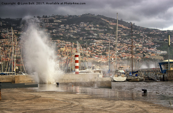 Funchal Harbour Picture Board by Lynn Bolt