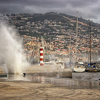 Buy canvas prints of Funchal Harbour by Lynn Bolt