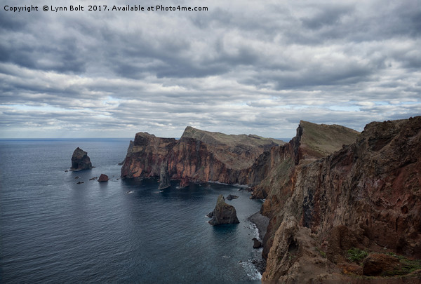 Ponta de Sao Lourenco Madeira Picture Board by Lynn Bolt