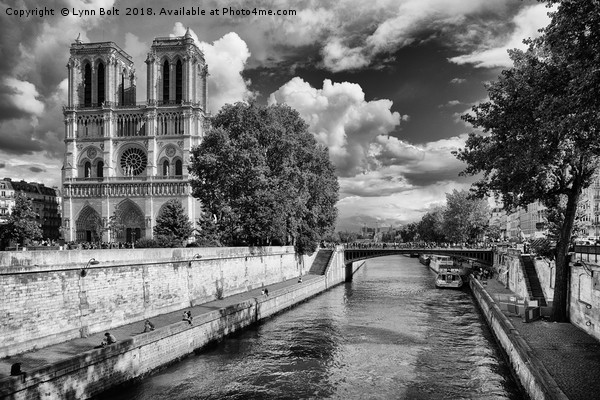 Notre Dame Cathedral Paris Picture Board by Lynn Bolt