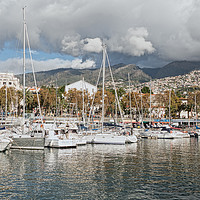 Buy canvas prints of Funchal Marina by Lynn Bolt