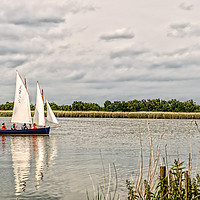 Buy canvas prints of Sailing on The Broads by Lynn Bolt