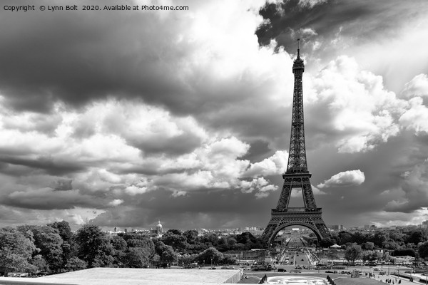 Paris Skyline Picture Board by Lynn Bolt