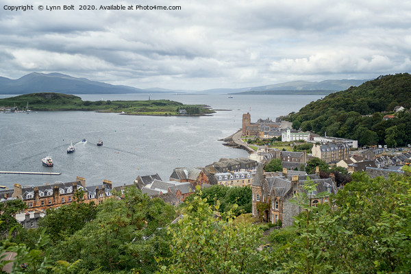 The View from McCaigs Tower Oban Picture Board by Lynn Bolt