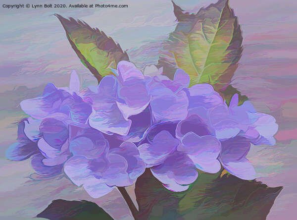 Purple Hydrangea Picture Board by Lynn Bolt