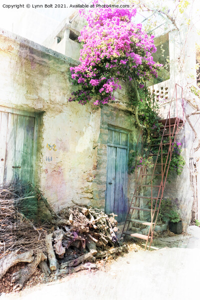 House in Crete with Bougainvillea Picture Board by Lynn Bolt