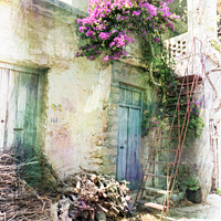 Buy canvas prints of House in Crete with Bougainvillea by Lynn Bolt