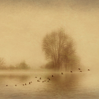 Buy canvas prints of Mist over Wansbeck by Richie Fairlamb