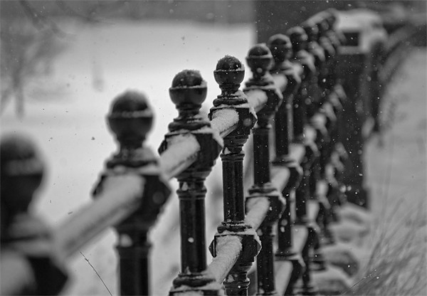 snowy railings Picture Board by alan bain