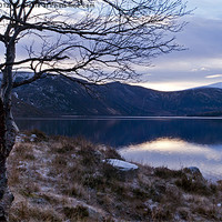 Buy canvas prints of The banks of Loch Muick by alan bain