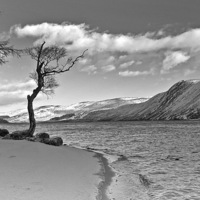 Buy canvas prints of  Winter shores of Loch Muick by alan bain