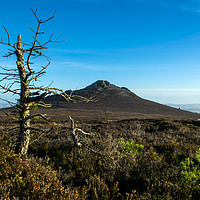 Buy canvas prints of Bennachie Mither Tap by alan bain