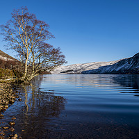 Buy canvas prints of Winter Sun Loch Muick  by alan bain
