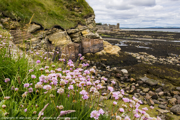 St Andrews shore Picture Board by alan bain