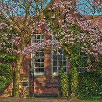 Buy canvas prints of Old School house by Nathan Wright