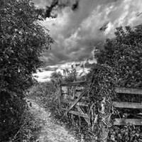 Buy canvas prints of Black and white gate by Nathan Wright