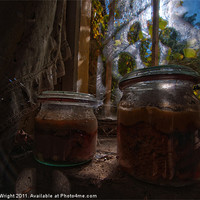 Buy canvas prints of Brains in jars by Nathan Wright