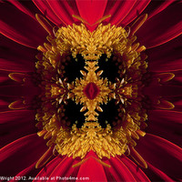Buy canvas prints of Kaleidoscope red and yellow by Nathan Wright