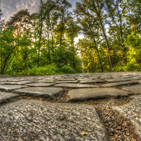 Buy canvas prints of Stoned path by Nathan Wright
