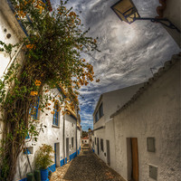 Buy canvas prints of Algarve cobbles by Nathan Wright