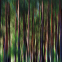 Buy canvas prints of Forest blur by Nathan Wright