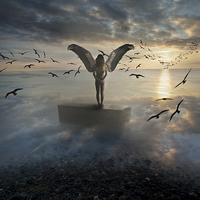 Buy canvas prints of Birds of freedom  by Nathan Wright