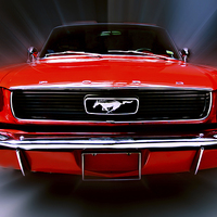 Buy canvas prints of Mustang Sally by Nathan Wright